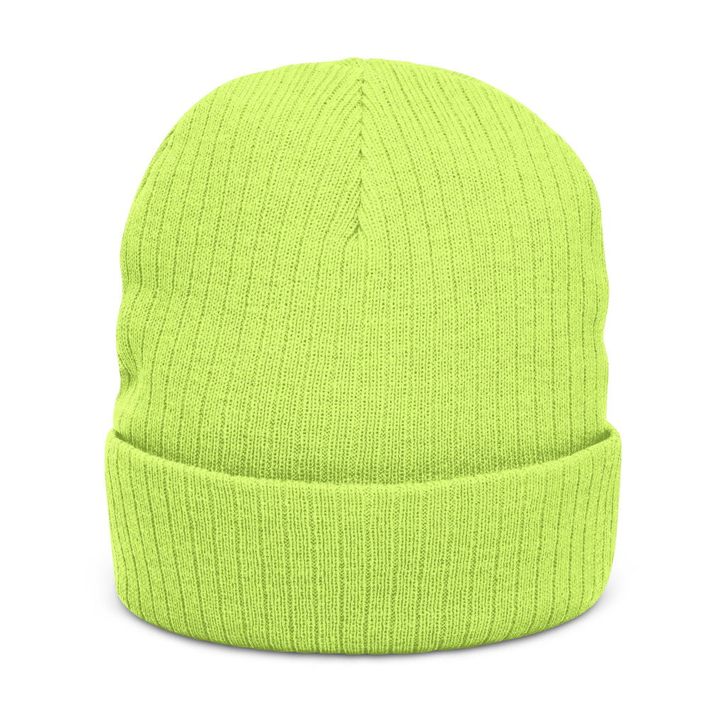 “capitalism” ribbed beanie